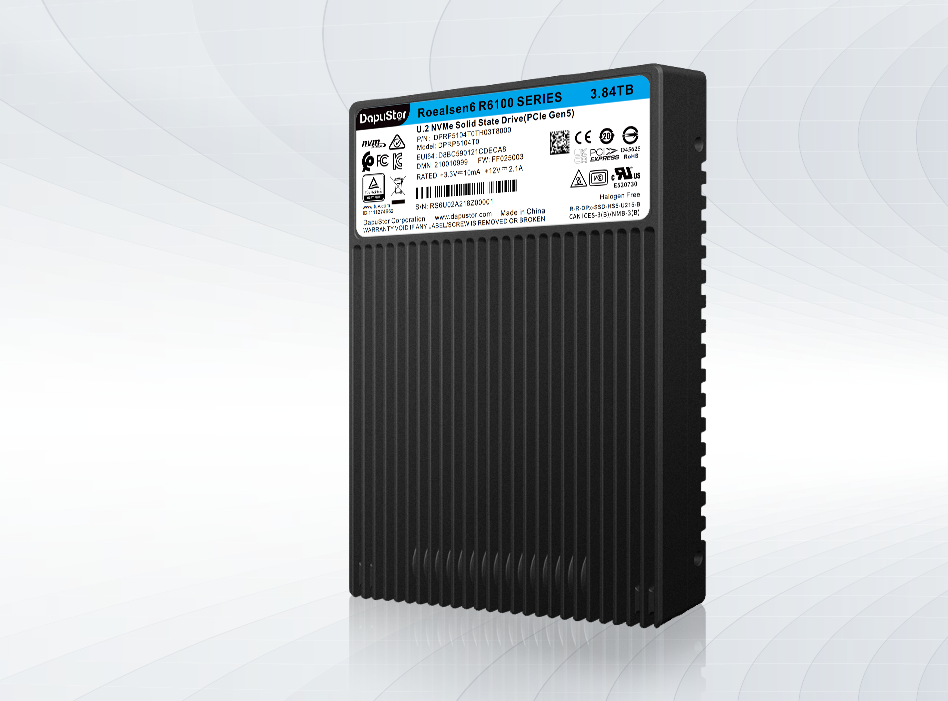 DapuStor?嶸神Roealsen? R610X系列SSD